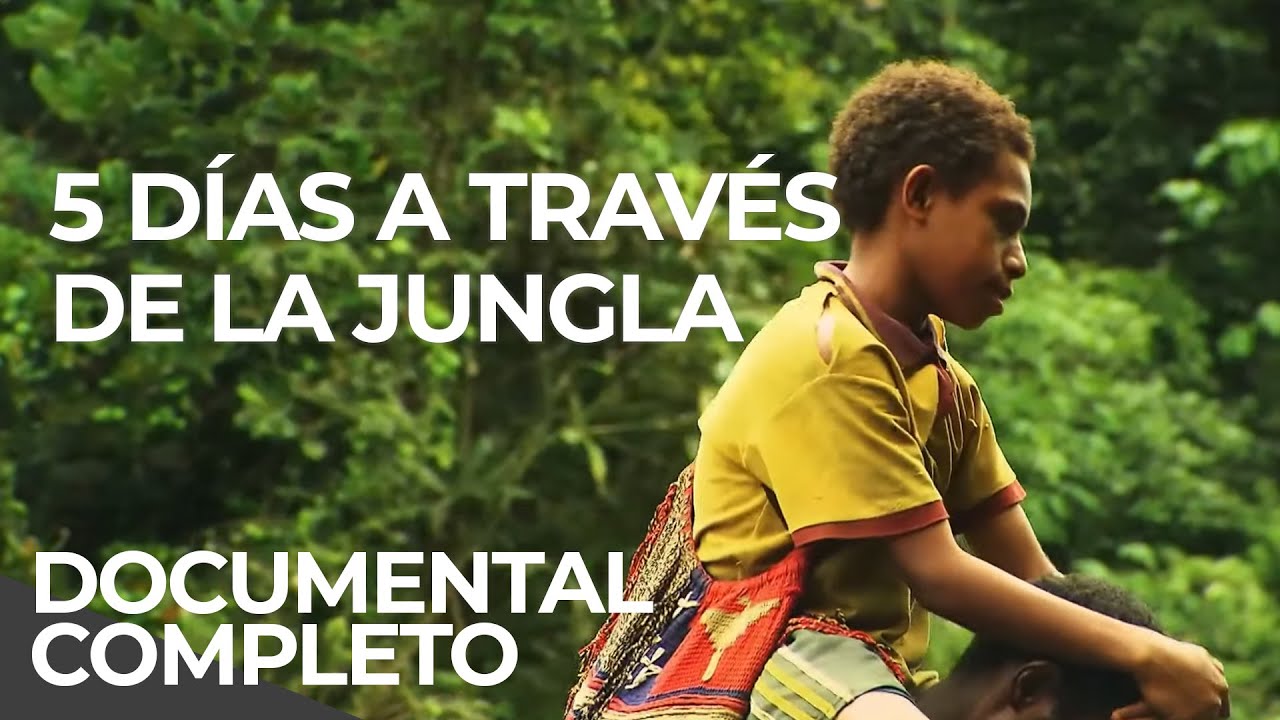 Caminos más Peligrosos a la Escuela PAPUA NUEVA GUINEA | Free Documentary Español