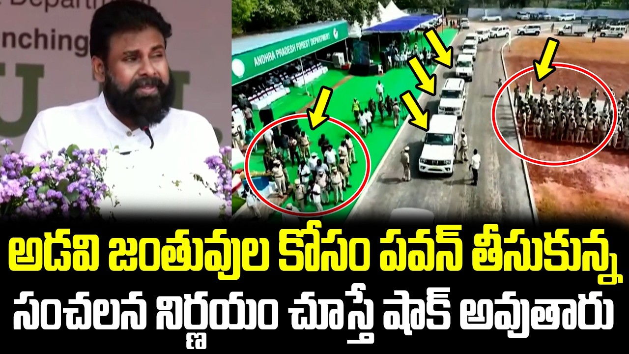 ఒళ్ళు దగ్గర పెట్టుకొని పని చెయ్యాలి?ఏ మూగజీవికి ఏ అపాయం రాకూడదు!! | Pawan Kalyan | Cult Politics