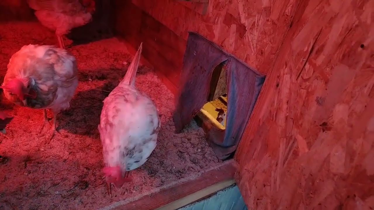 05.03.26г. ПРЕДСКАЗАНИЕ НЕ СБЫЛОСЬ, НО Я НЕ РАССТРОИЛАСЬ😊