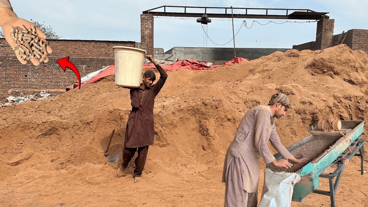 Amazing Recycling Process of Wooden Sawdust to Biomass Pellets in Woodworking Factory