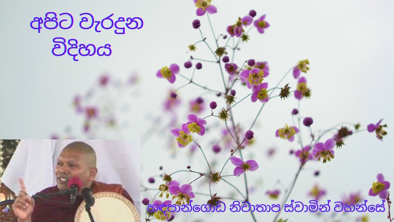 හඳපාන්ගොඩ නිවාතාප ස්වාමින් වහන්සේ I Ven Hadapangoda Nivathapa Thero I Sinhala Bana I 8888 I New 2021