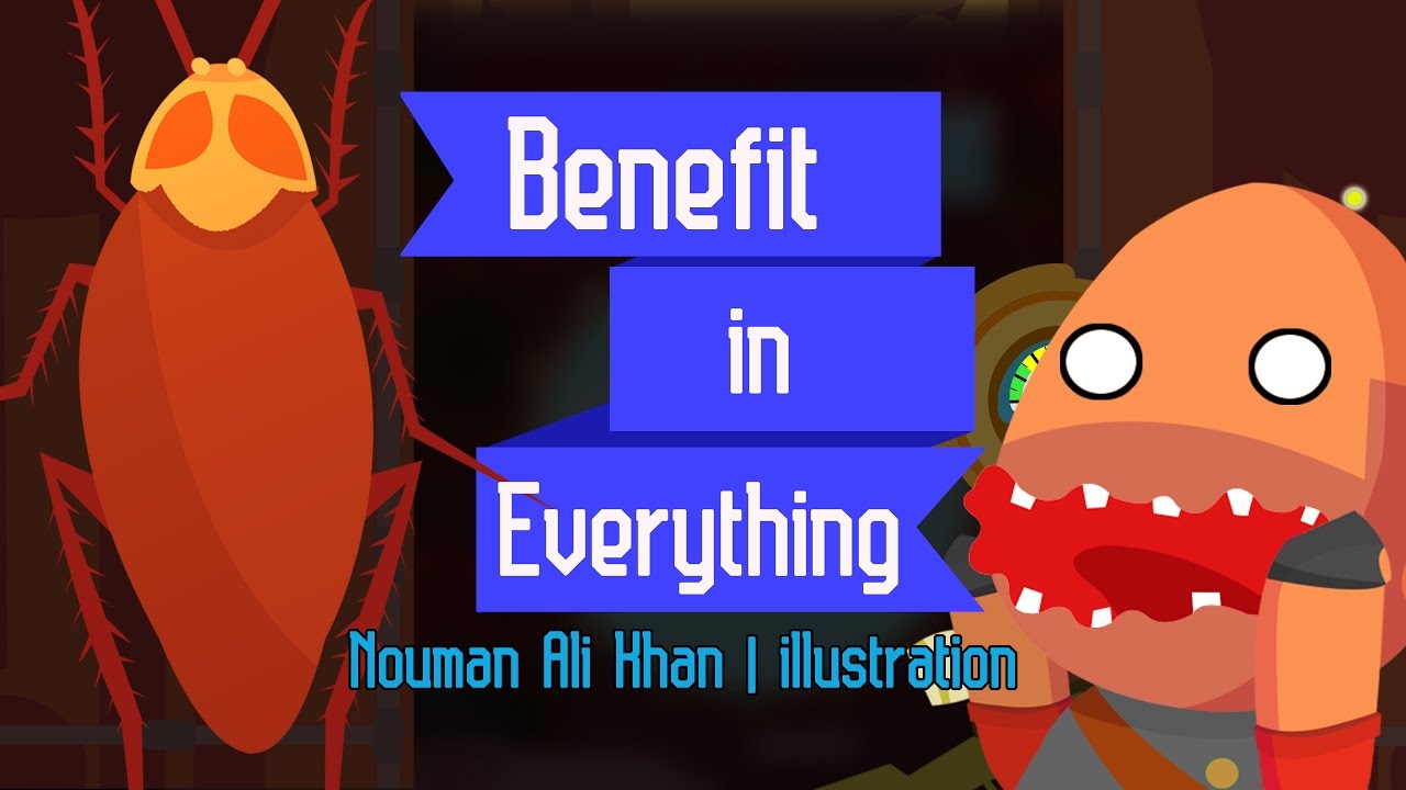 Benefit in Everything - Nouman Ali Khan