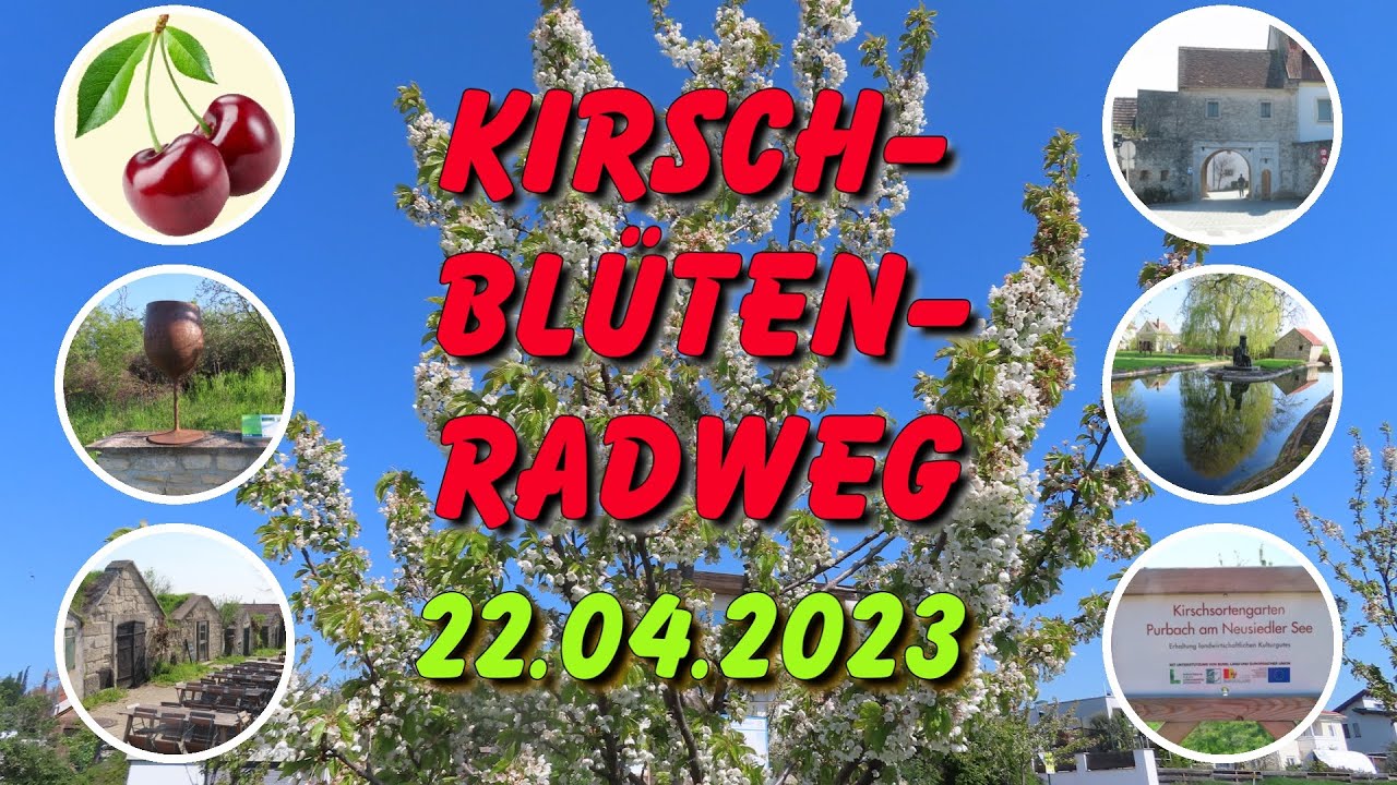 Kirschblüten Radweg