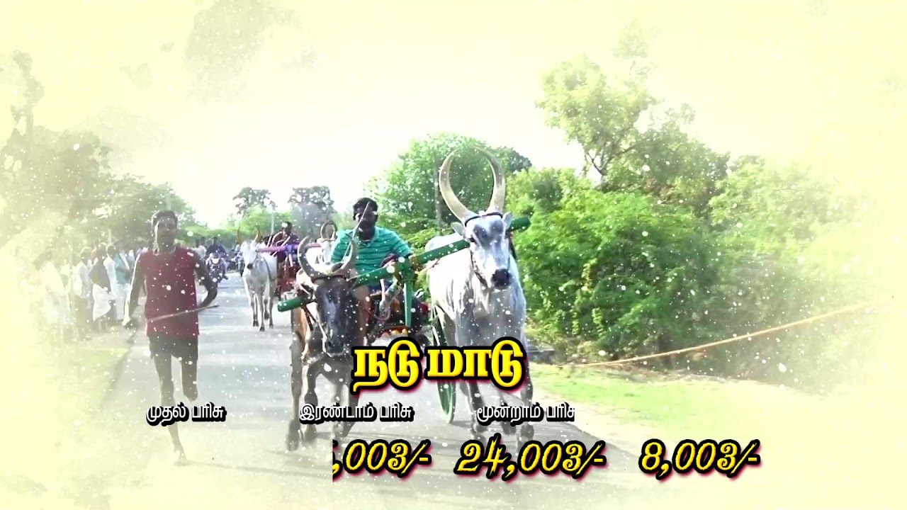 பொன்பேத்தி பந்தயம் -Add 22.09.2019-Ponpethi Panthaym Add AmuthamStudio