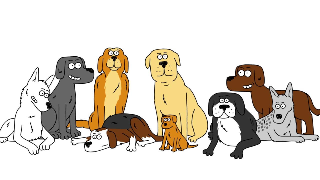¿Qué nos enseñaron los perros sobre la diabetes a los seres humanos? - Duncan Ferguson