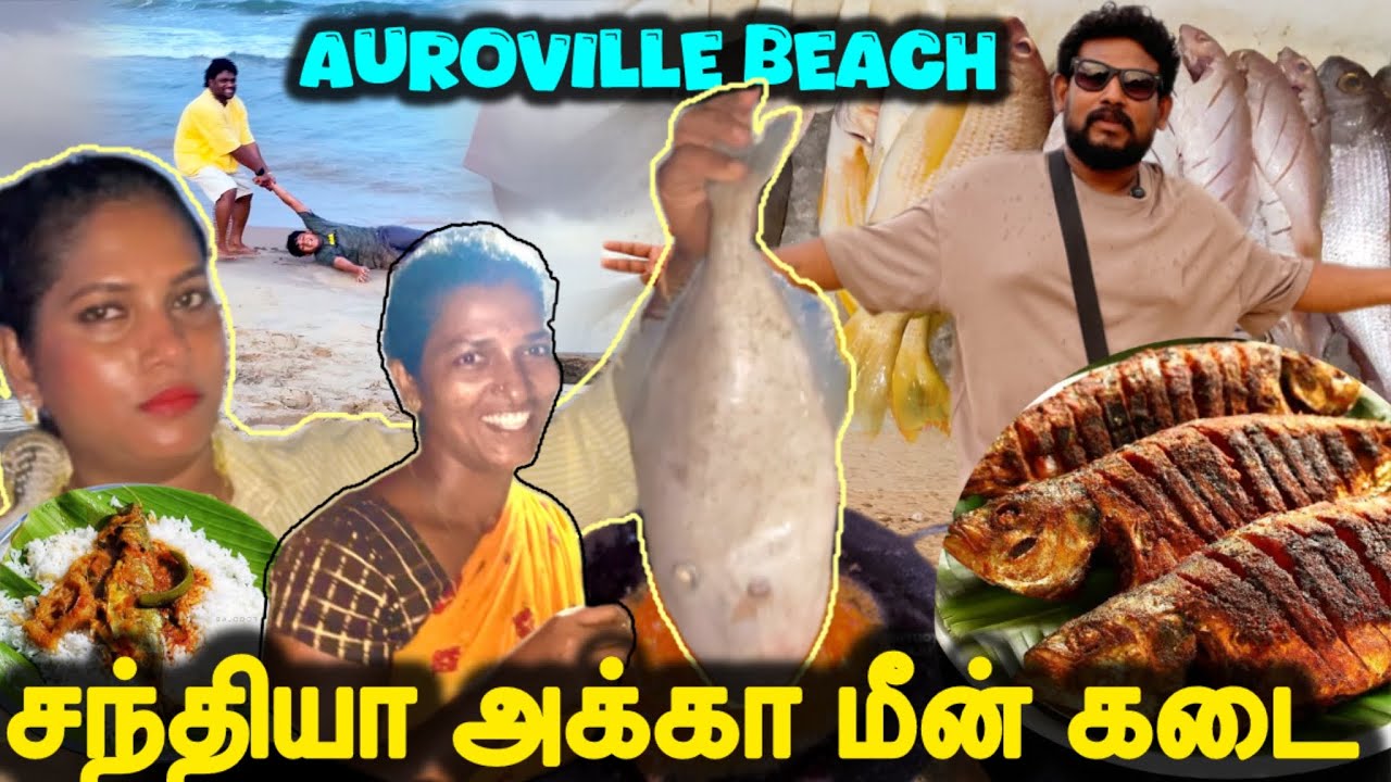🔥BEST SEAFOOD IN PONDICHERRY BEACH | Vera Level Fish Fry In Tamil | famous beachs in tamilnadu #fish