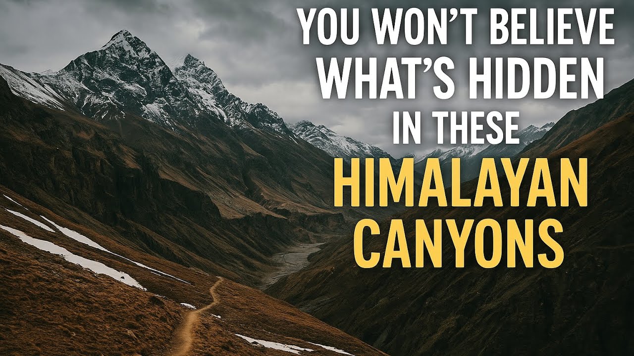 Why Every Trekker Dreams of the Markha Valley#MarkhaValley #LadakhTrek #HiddenLadakh #HimalayanTrek