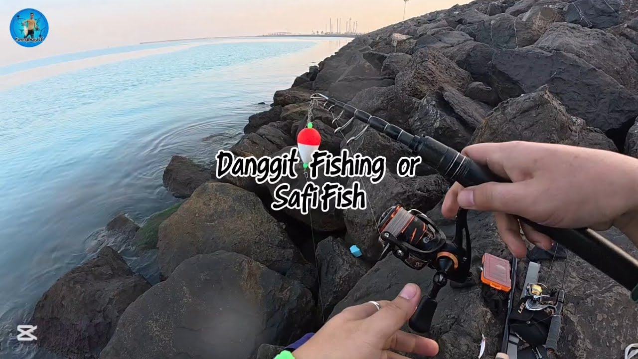 Danggit fishing mina abu dhabi #fishing  #abudhabifishing 