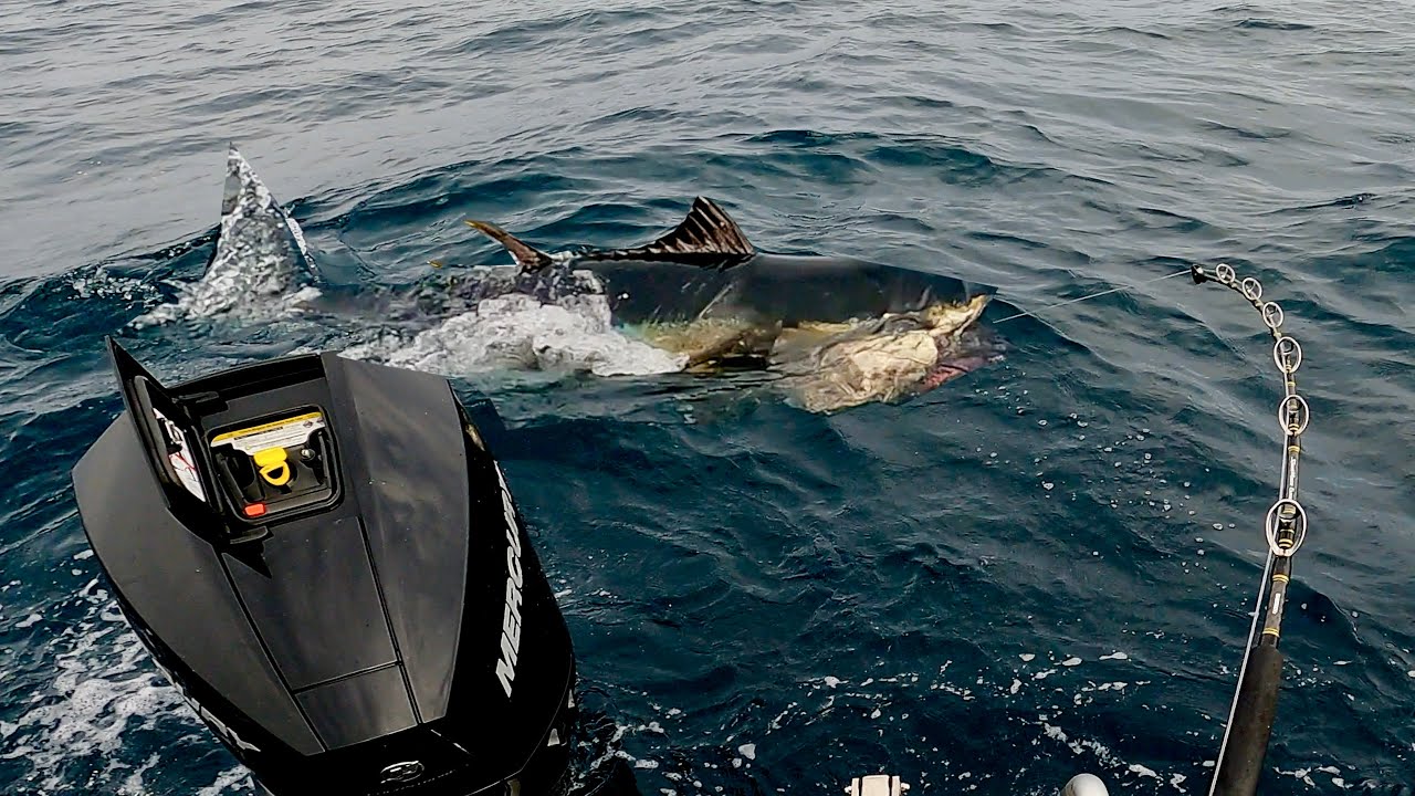 CATCHING GIANT BLUEFIN TUNA IN AUSTRALIA!!!