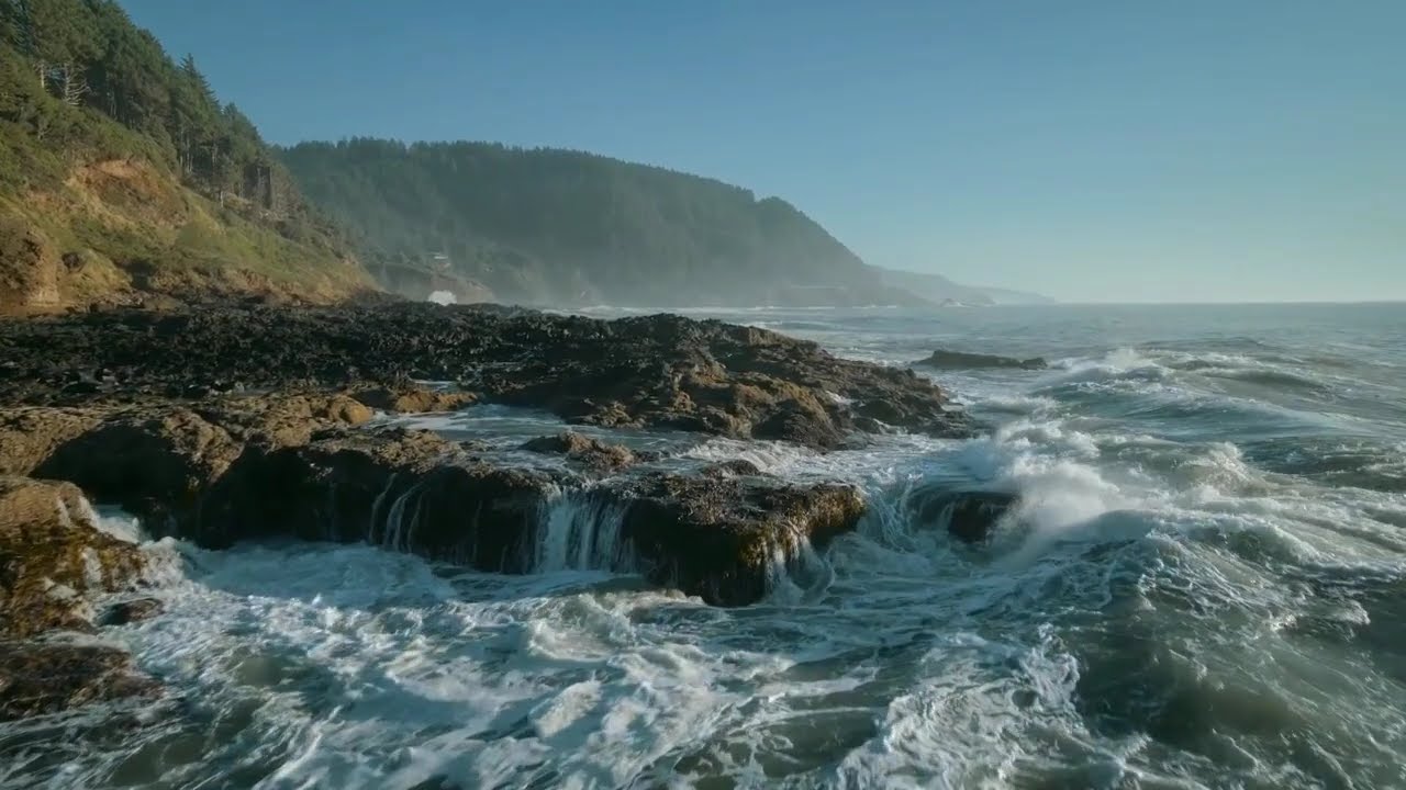 “The Art of Nature: Rivers, Trees & Desert in Cinematic 4K” #NatureIn4K #EarthViews  #ExploreIn4K