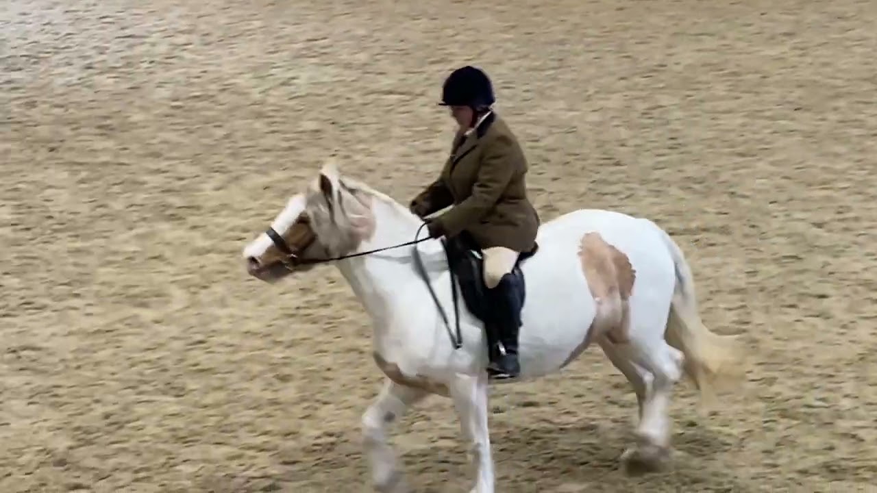3 year old pony first ridden show - just broken class