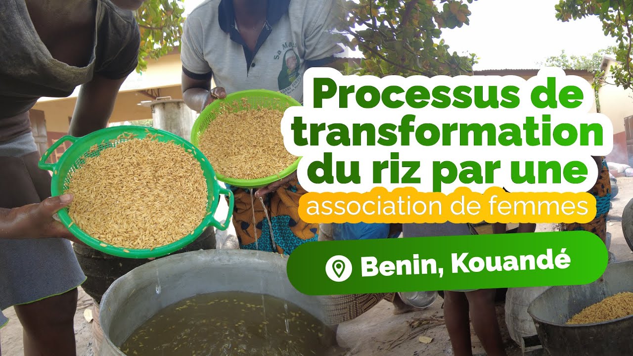 Processus de transformation du riz. Association So-Woussouada