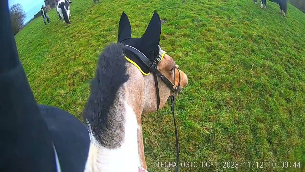 Come ride up to havenstreet monument with myself & Echo