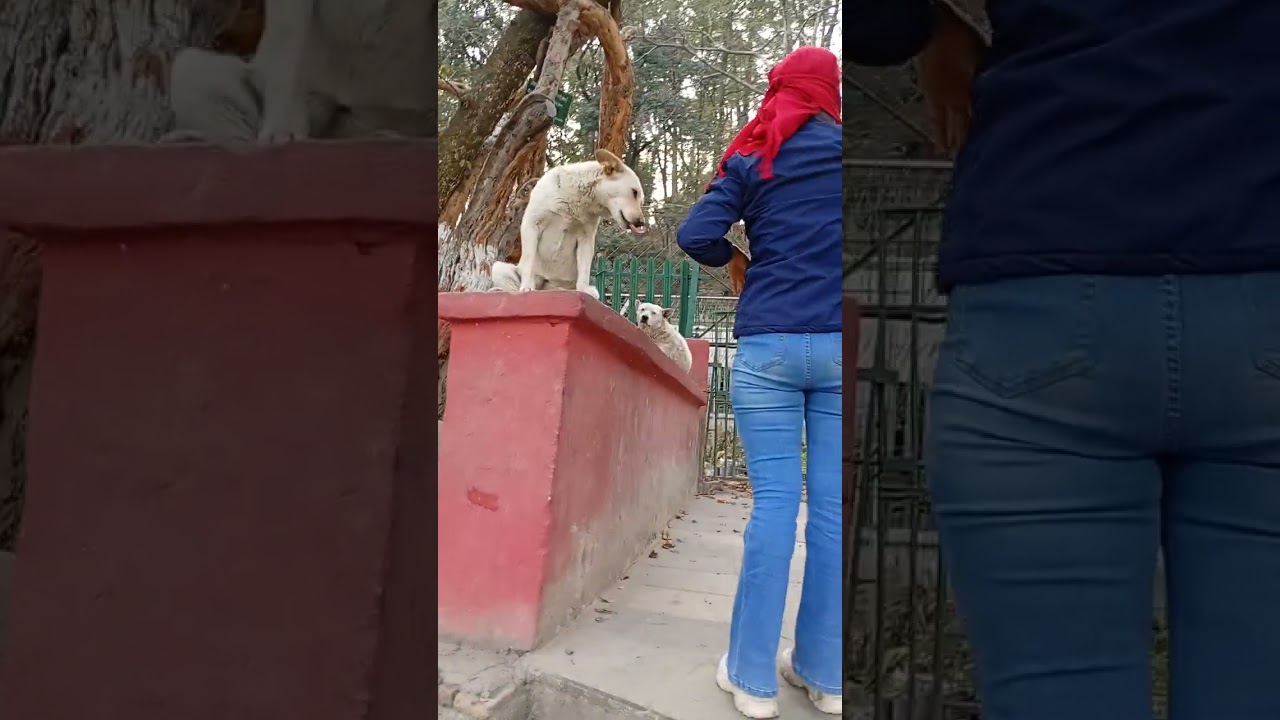 balaju park
