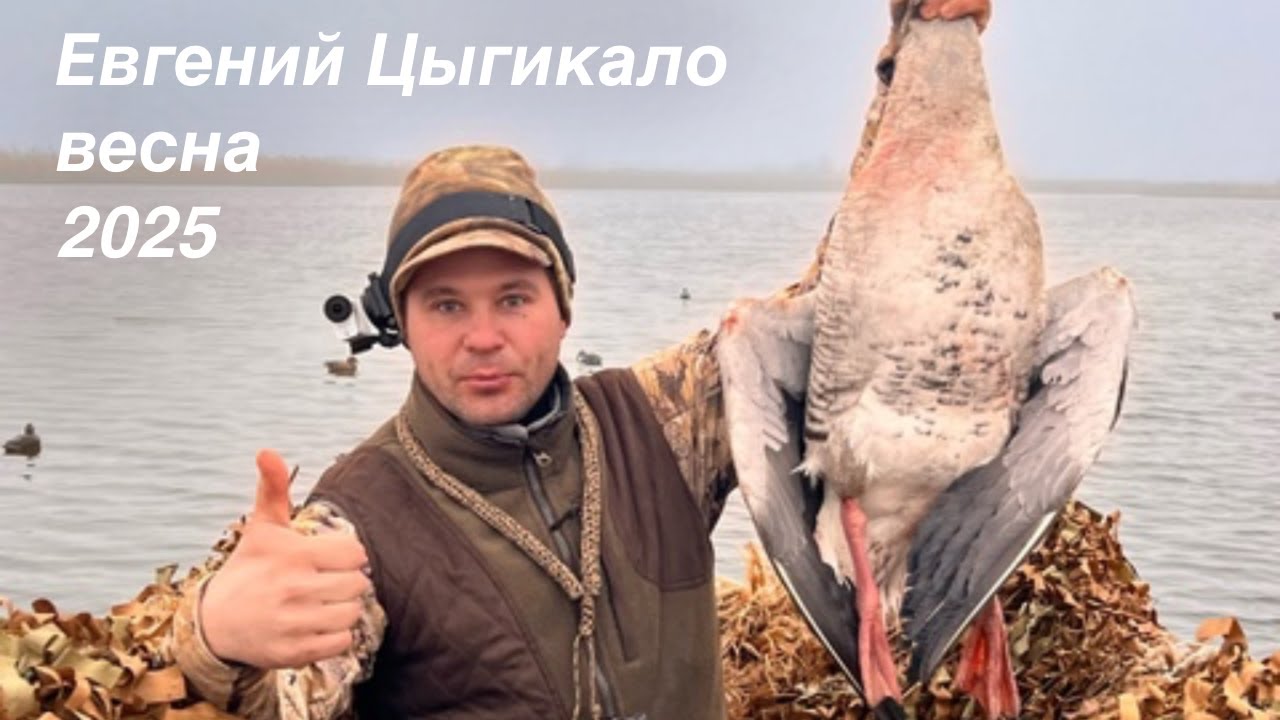 Стрим: Весенняя охота с Евгением Цыгикало