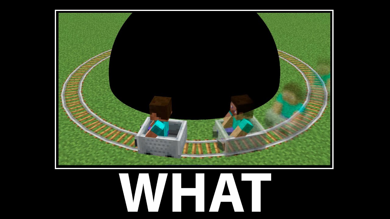 WAIT WHAT - Minecraft #20