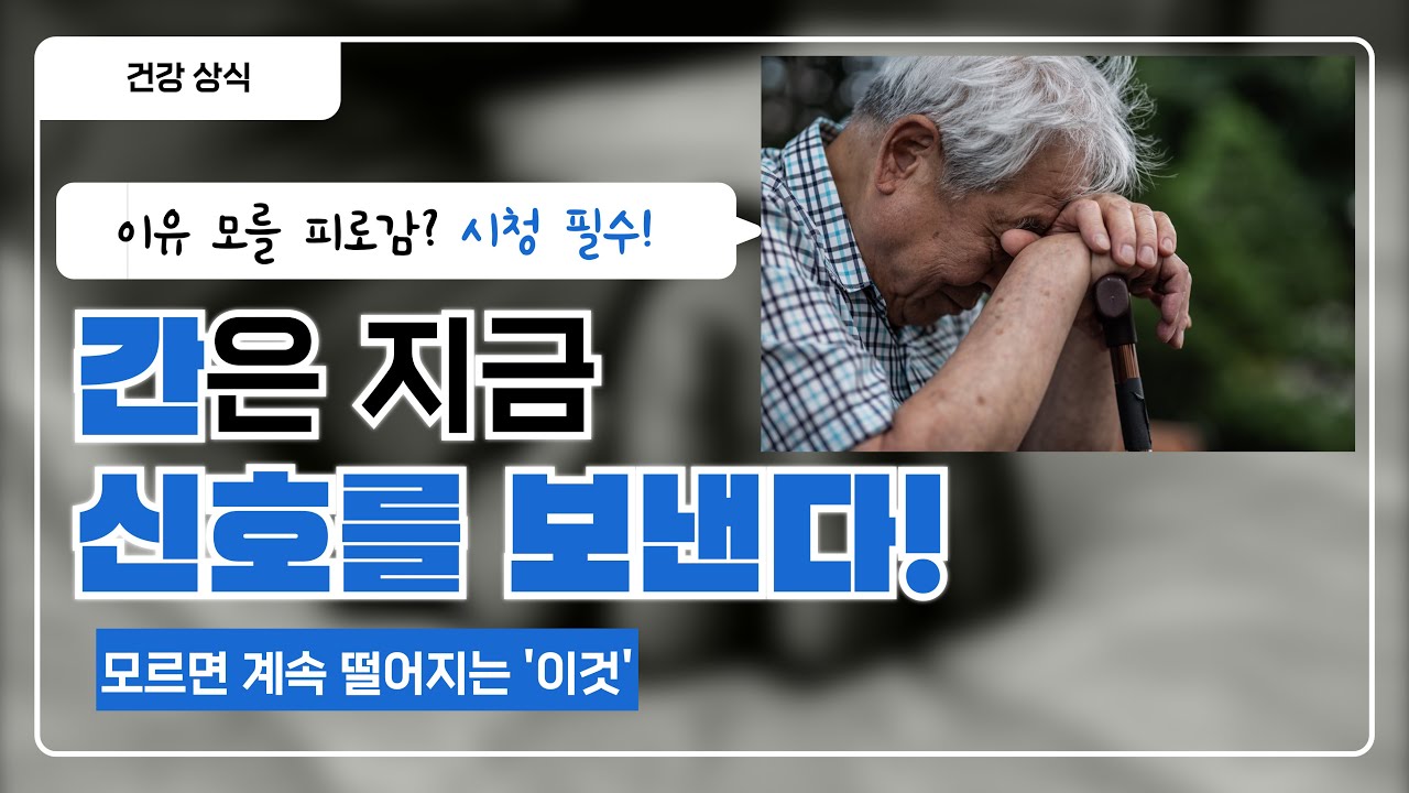 내 몸에 단백질이 부족하면 나타나는 증상들? 난백 알부민 비밀