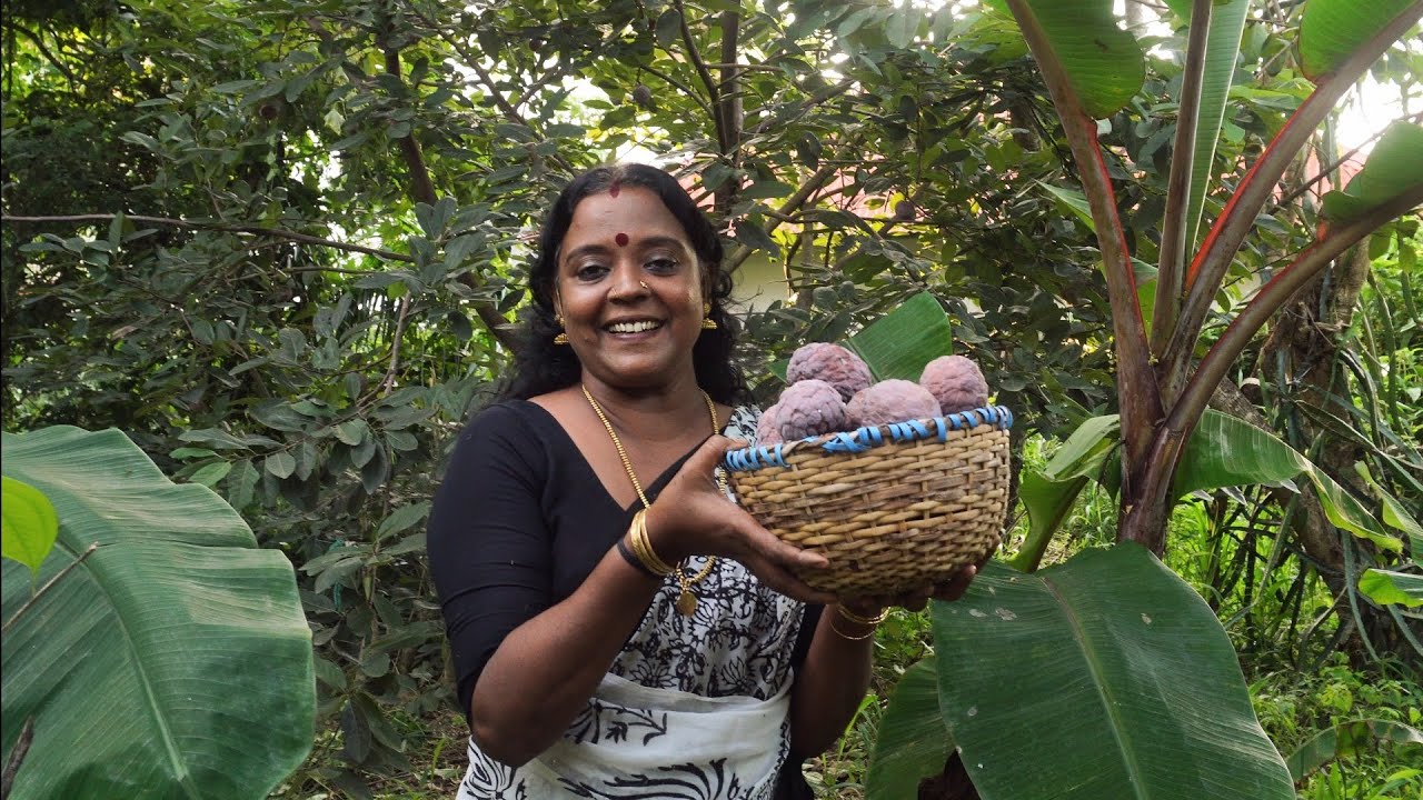 ചുവന്ന സീതപഴം സുലഭമായ് കായ്ച്ചപ്പോൾ |  Red Custard Apple Harvesting at Home