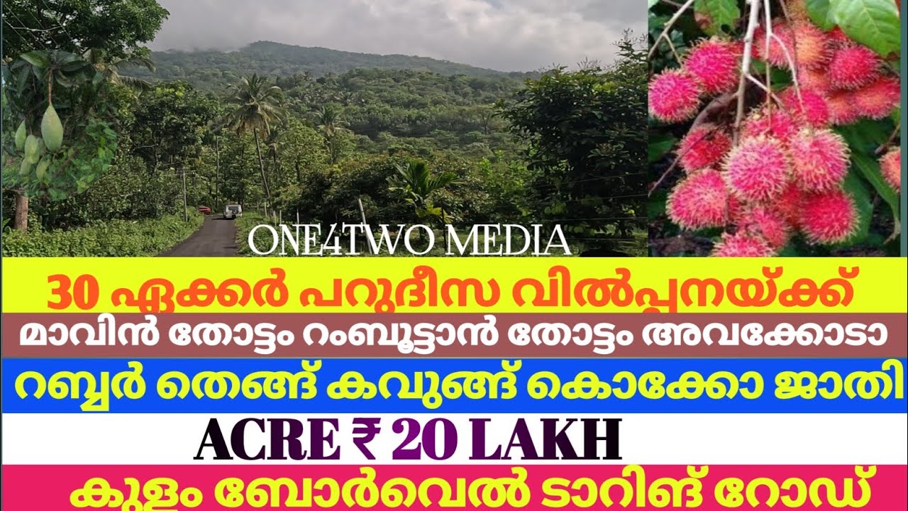 വൻ വരുമാനം ഉള്ള 30 ഏക്കർ വിൽപ്പനക്ക് /30 ACRE AGRICULTURAL LAND FOR SALE #realestate