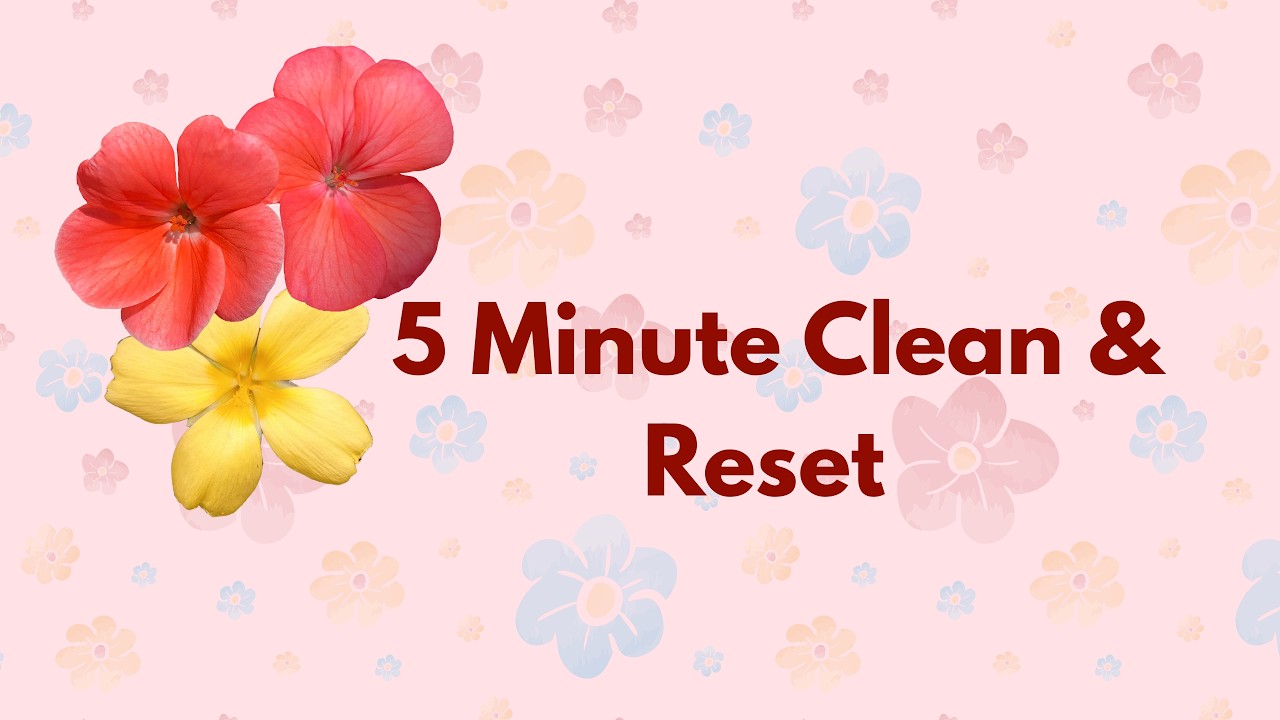 Room Reset. Clean and Tidy in 5 Minutes.