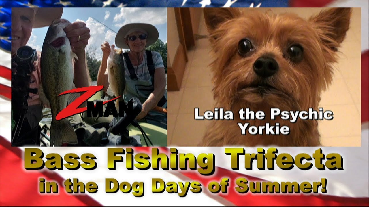Bass Fishing Trifecta (Z-Man TRD BugZ, TRD MinnowZ, Slim SwimZ)