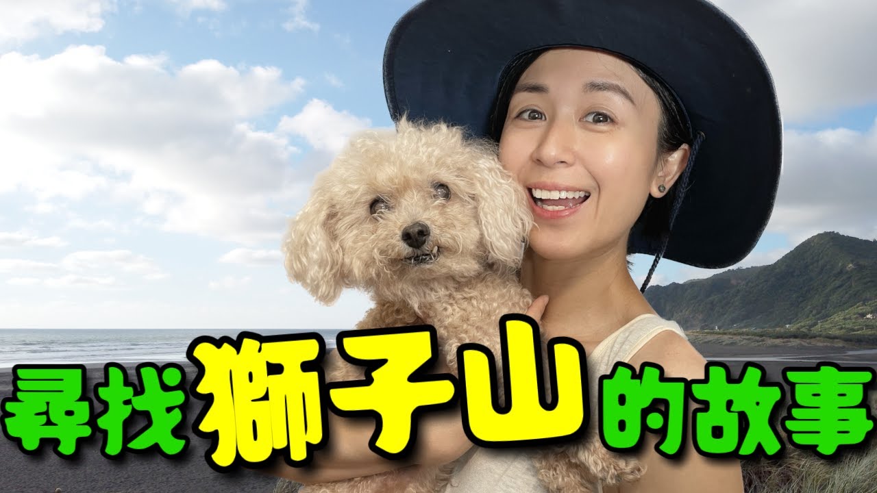 我哋大家~~在NZ獅子山下相遇上⛰️陪汪星人處男下海🌊沙灘Room Tour🏖對香港人嘅新年願望🌟 Vlog 09
