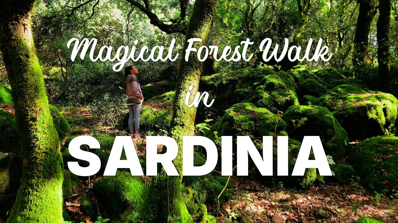 Magical Forest Walk in Sardinia | Mindful 4K Relaxation & Deer Encounter