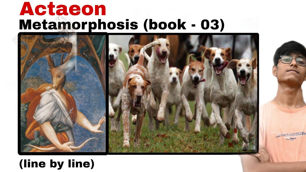 Actaeon / Metamorphosis by Ovid in bengali line by line explanation / Book 3