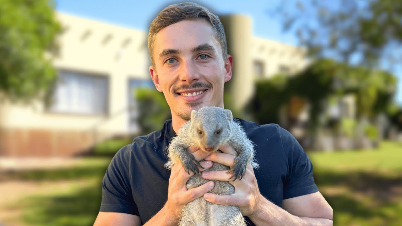 What It’s Like To Live With A Mongoose