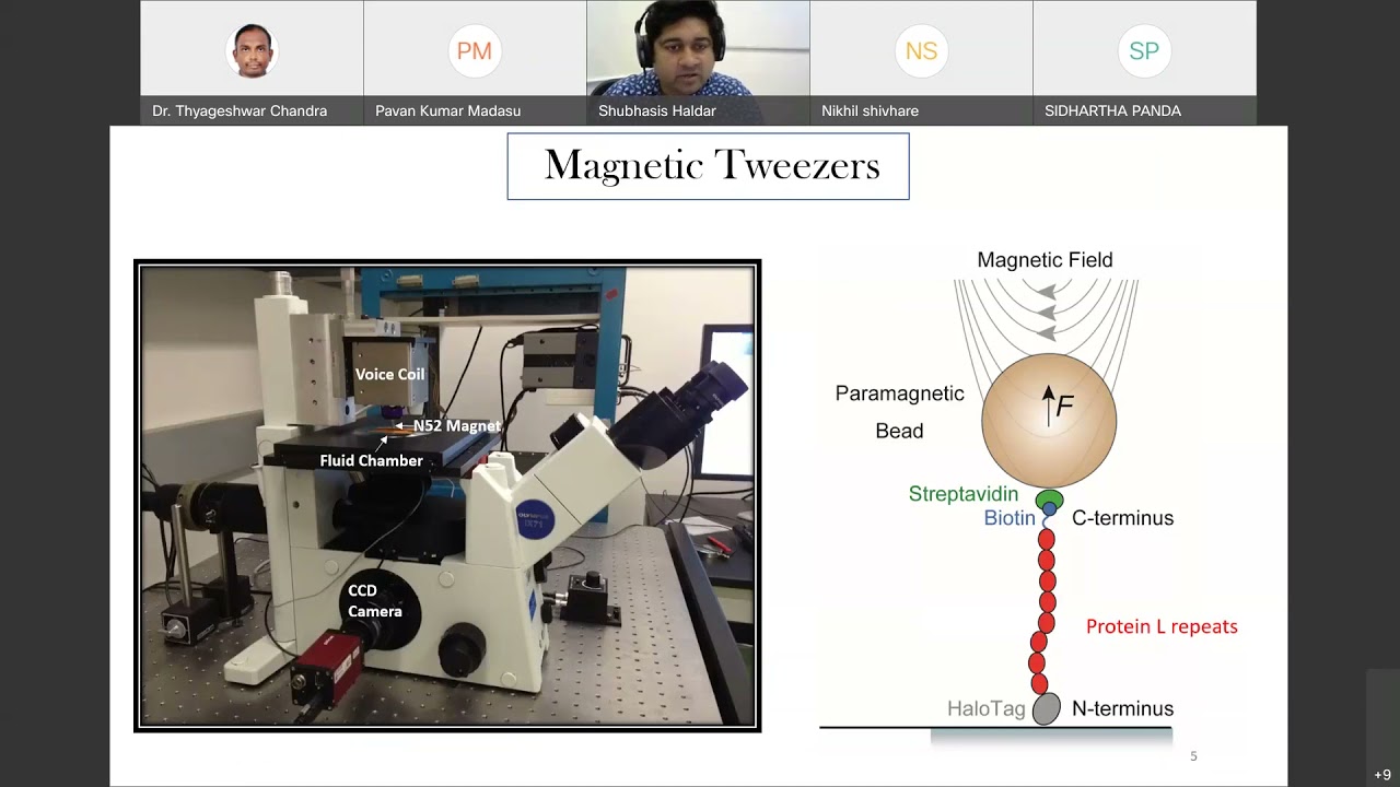 Covalent Magnetic Tweezers: A New Window to See Biology: Dr. Subhashish Haldar, Ashoka University