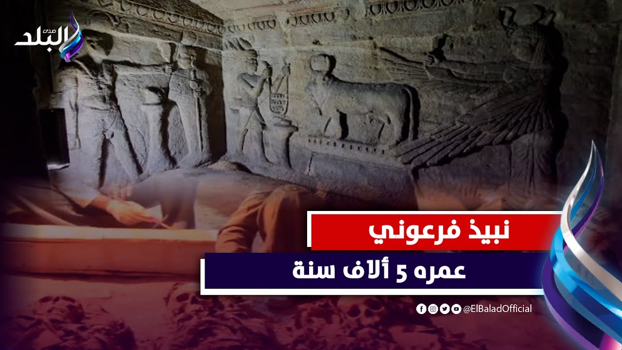 مُخزن في الصعيد..اكتشاف نبيذ فرعوني محفوظ من 5 ألاف سنة