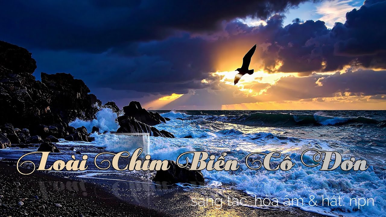 Loài Chim Biển Cô Đơn - sáng tác, hòa âm & hát:  npn