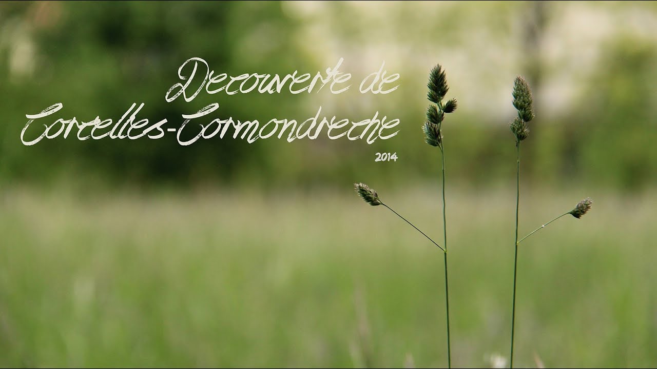 A la d&eacute;couverte de Corcelles