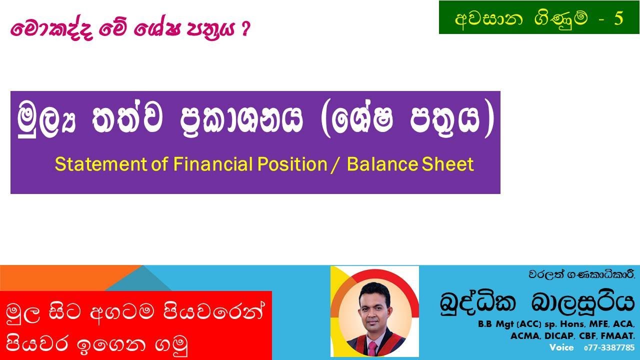 අවසන් ගිණුම්  5 -   මූල්‍ය තත්ව ප්‍රකාශනය (ශේෂ පත්‍රය)