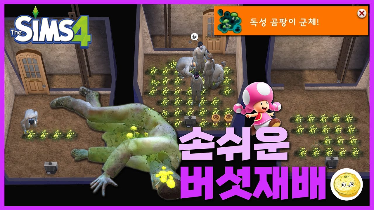 키노피코와 함께하는 손쉬운 버섯재배법 / #심즈4, #곰팡이