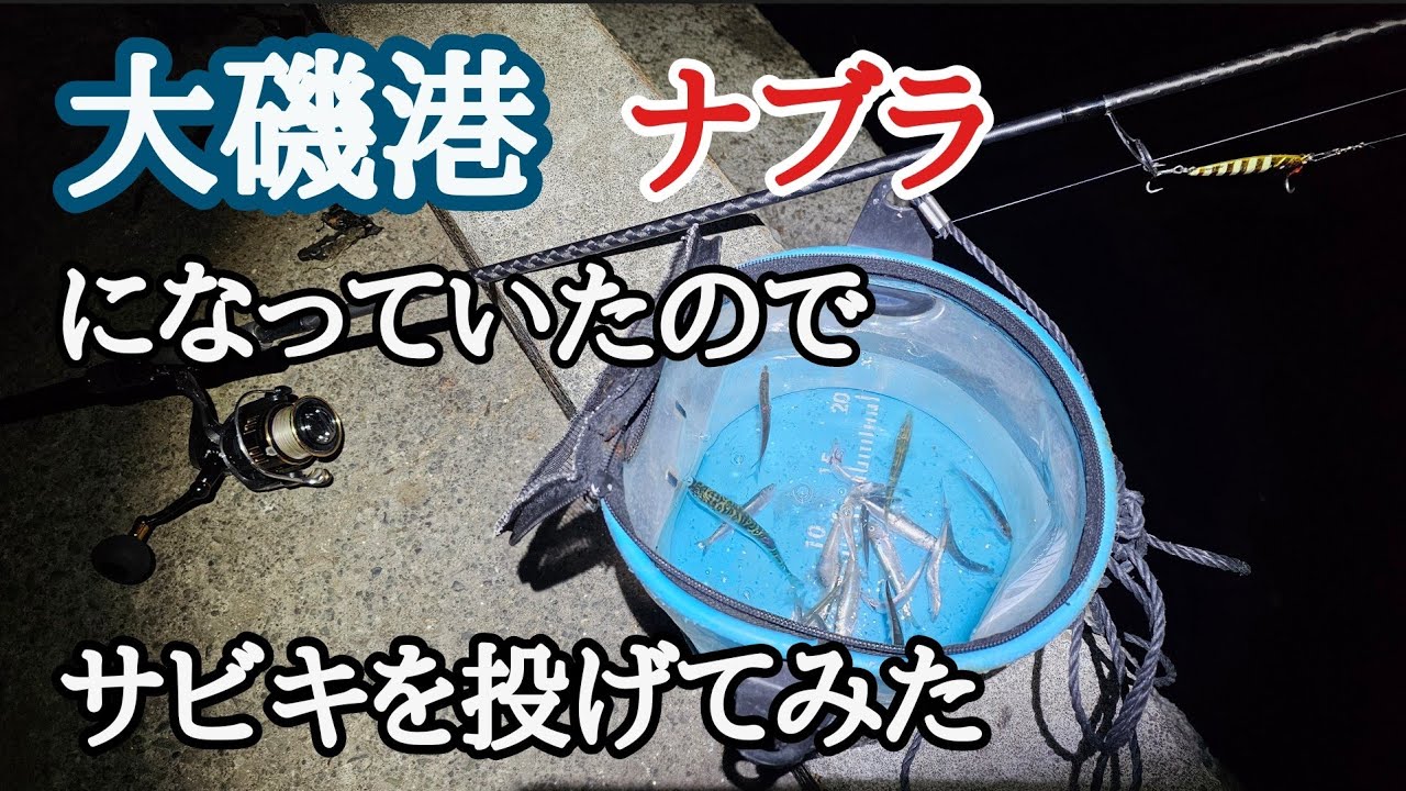 大磯港｢ナブラ｣になっていたので、サビキを投げてみた