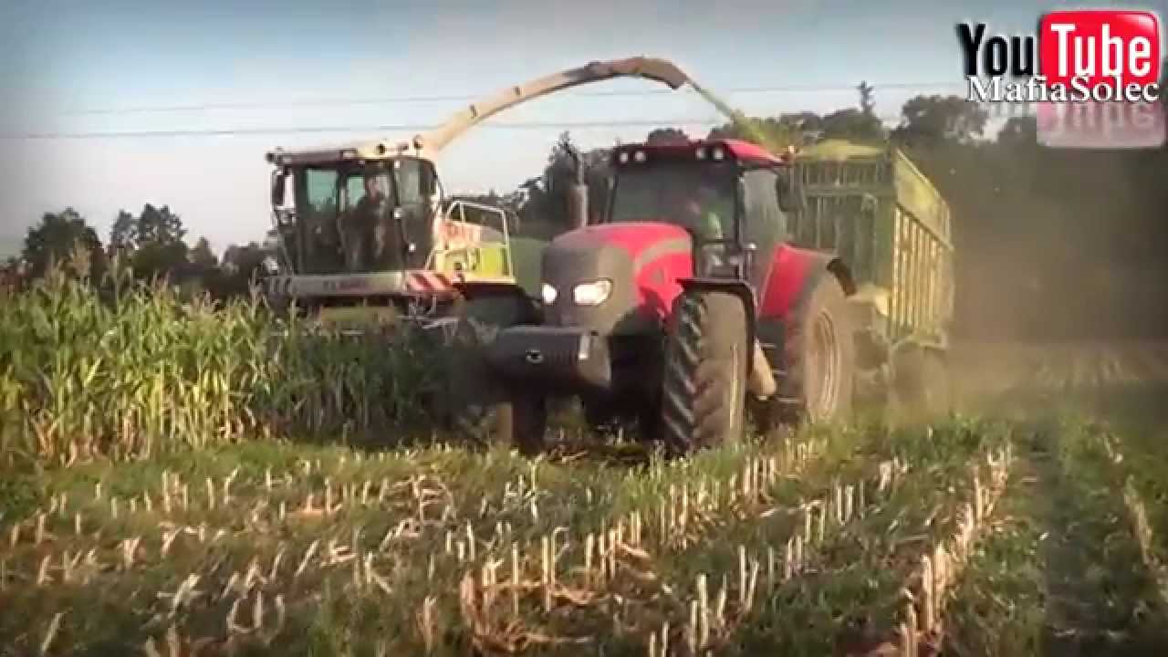 Kukurydza Kiszonka 2015 - ROMAX ☆ 2x Fendt, 3x Case, McCormick, Claas Jaguar ㋡ MafiaSolec