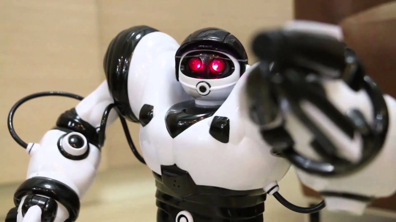 TME Robot 2015