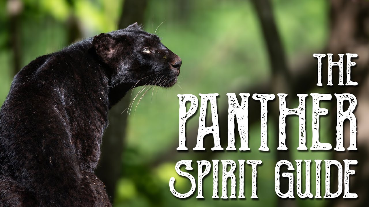 Panther Spirit Guide - Ask the Spirit Guides Oracle - Totem Animal - Power Animal - Magical Crafting
