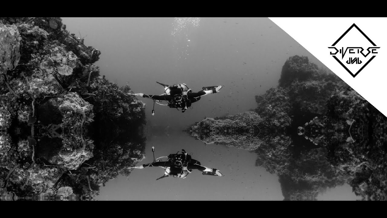 Diverse Liquid and Chill dNb MIX