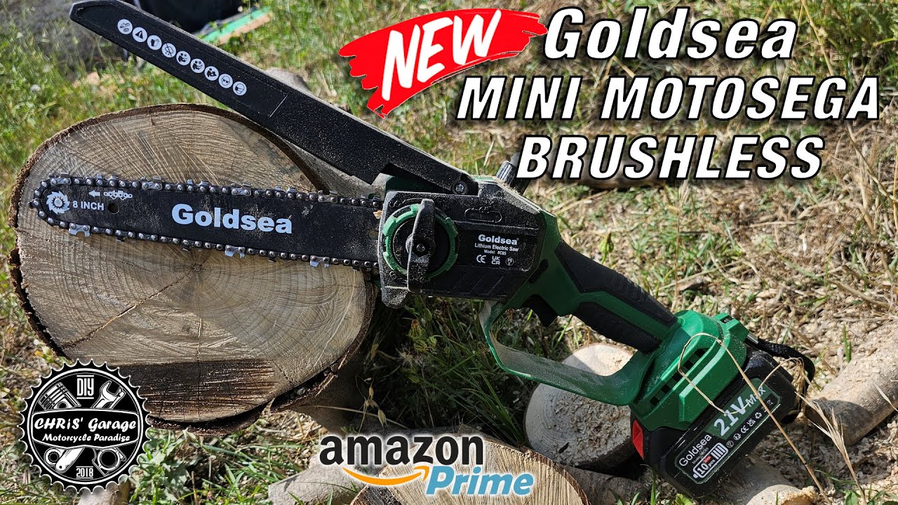 Ottima ed Economica questa Mini Motosega Brushless GOLDSEA 21V
