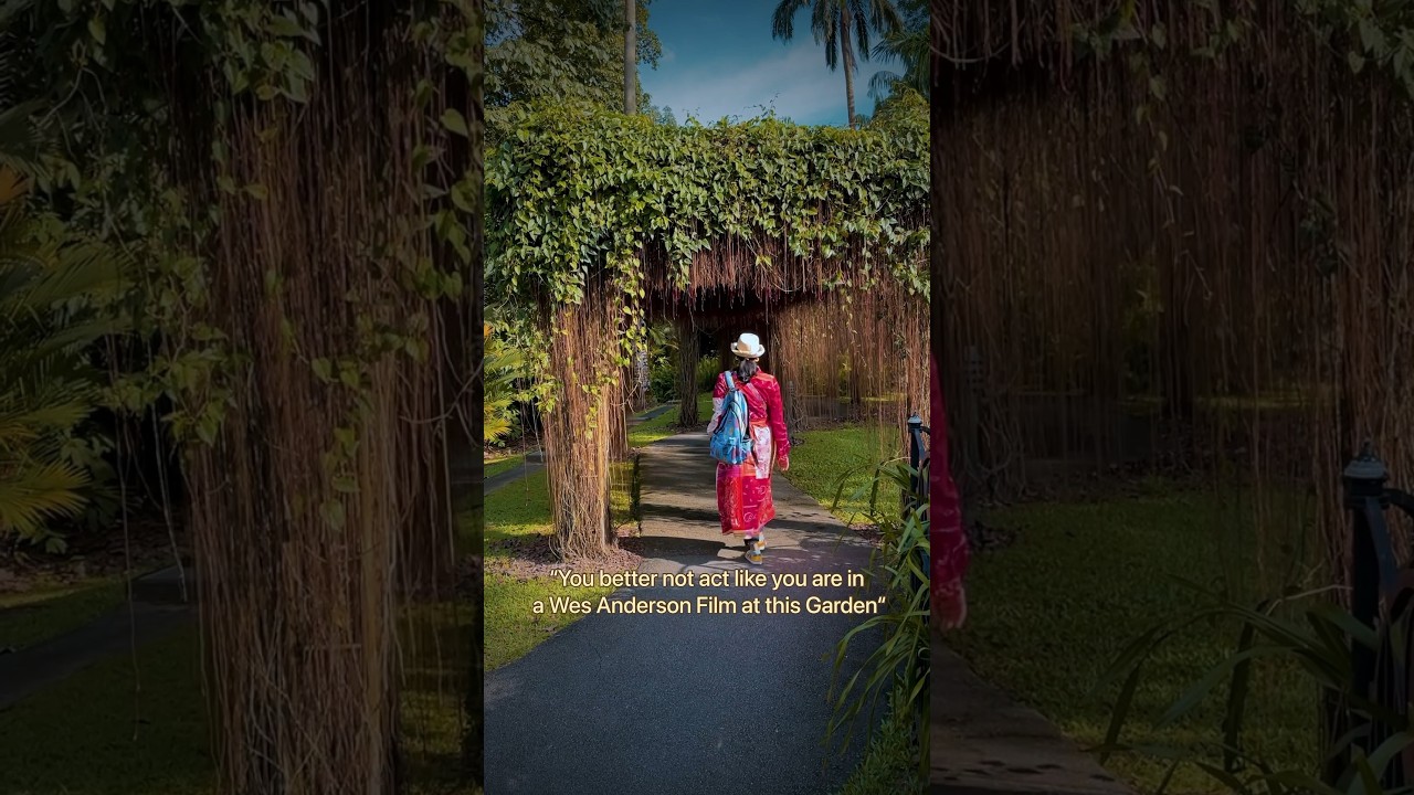 Singapore Botanic Gardens 🍀🍁☘️🍁#singapore #singaporevlog #wesanderson #cinematic #botanicalgarden
