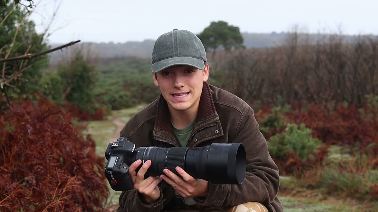 Wildlife Photography Vlog | Searching for Deer in the New Forest