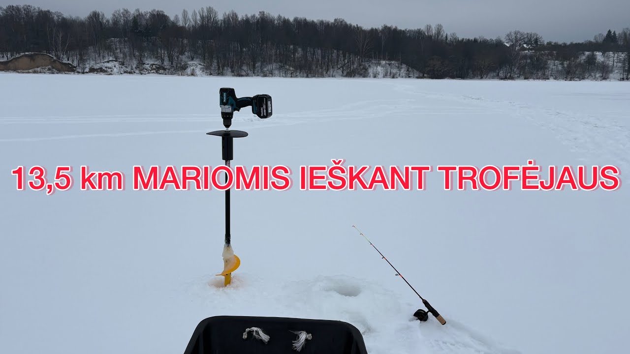 DAUG ĖJIMO MARIŲ LEDU TROFĖJINĖS ŽUVIES BEIEŠKANT 2026 #14