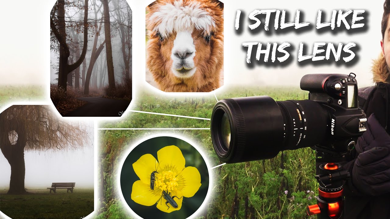 Обзор объектива Sigma 70-300mm и примеры фотографий | Nikon D90