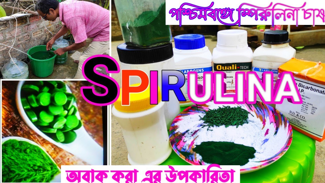SPIRULINA FARMING IN INDIA /ভারতে এই তরুন উদ্যোক্তা মহান পুষ্টিগুন সম্পন্ন স্পিরুলিনা চাষ শুরু করলেন