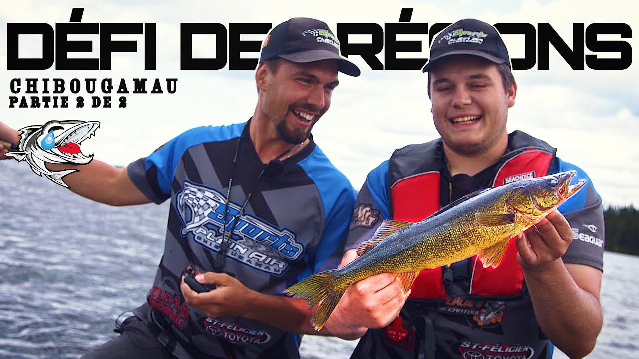 Pêche au DORÉ Québec 🎣  DÉFI DES RÉGIONS 🤣 Part.2 de 2 Eeyou Istchee Baie-James Marina Chibougamau