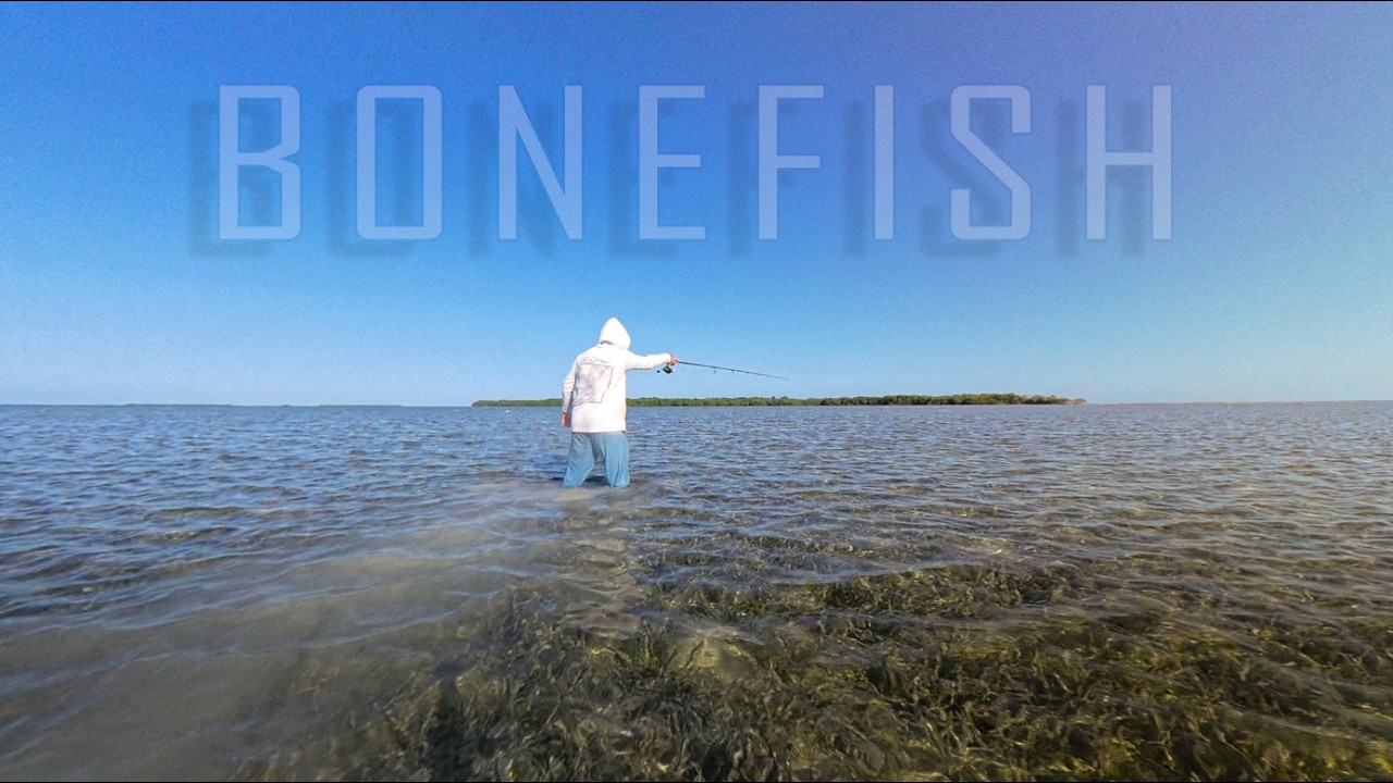 Sight Fishing Bonefish on the Flats (Florida)