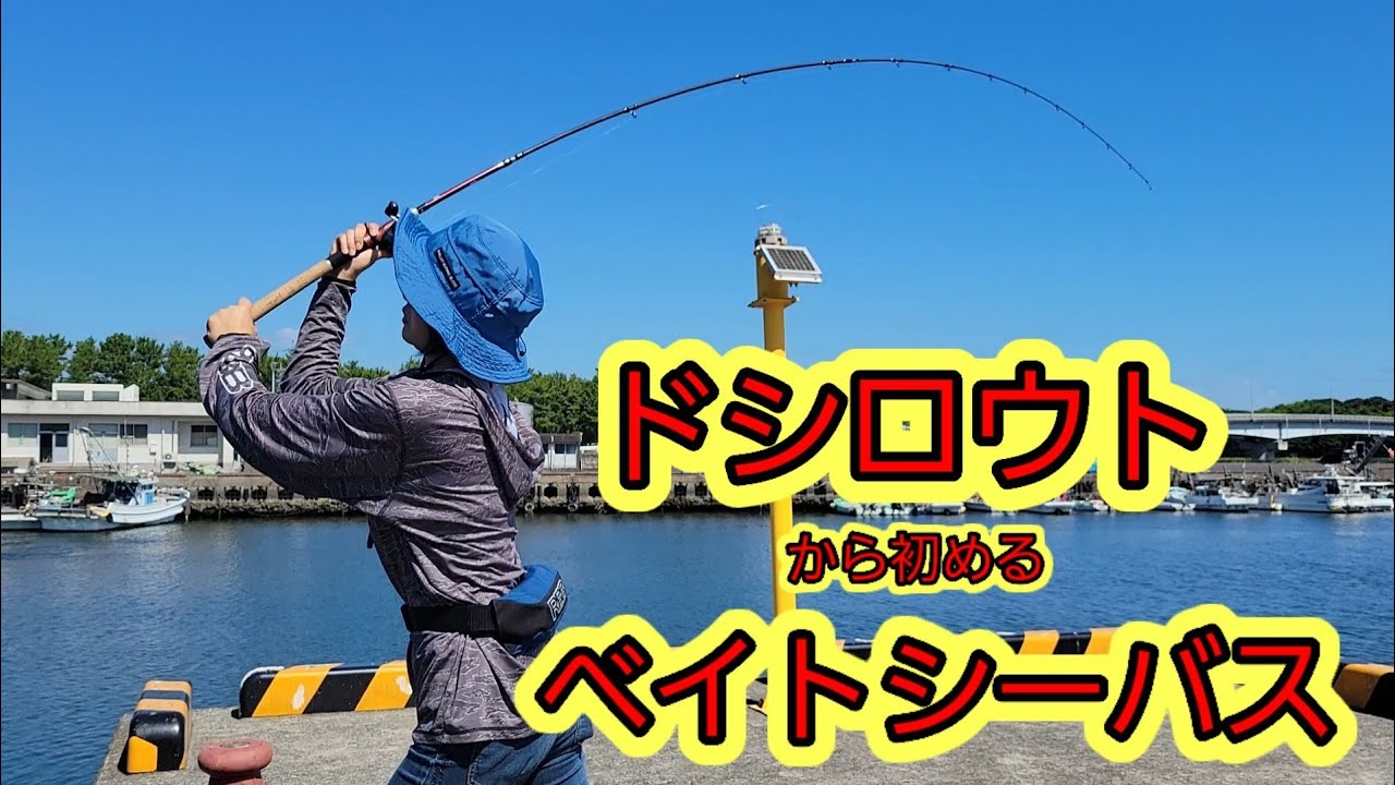 【ベイトシーバス】ドシロウトにキャスティング教えてみた