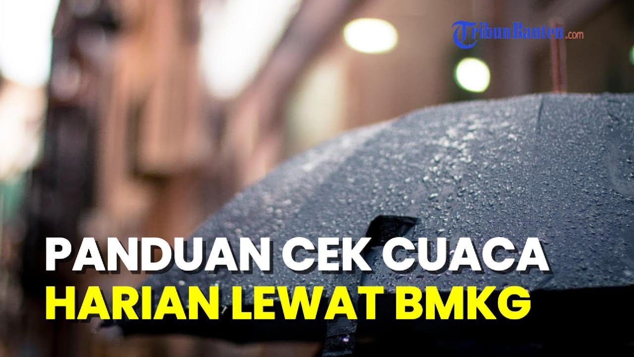 3 Cara Cek Prakiraan Cuaca BMKG di HP, Mudah dan Cepat